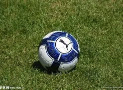 开云体育官,网登录入口,资讯,开云体育,开云体育官网,开云体育app,开云体育平台,KAIYUN,SPORTS,kaiyun登录入口