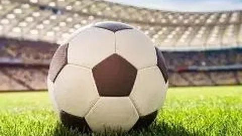 开云体育官网登录入口