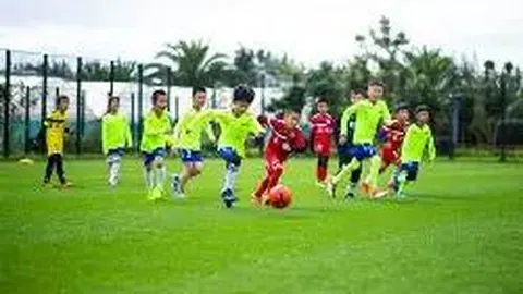 开云体育官网登录入口 产品 122528 xr0