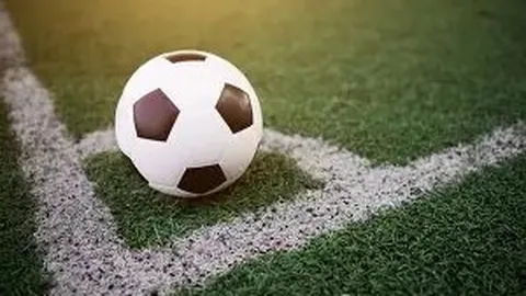 隆德教育体育资讯：11月19日周三速递