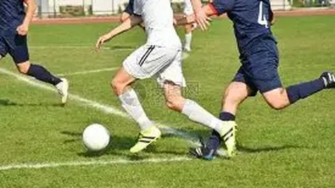 开云体育官网登录入口 资讯 122959 no0