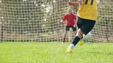 开云体育官网登录入口 资讯 122330 fd6