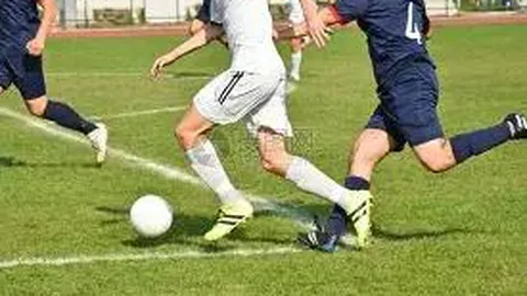 开云体育官网登录入口