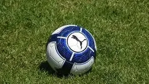 开云体育官网登录入口